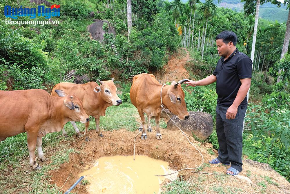 Anh Đinh Văn Nía, ở thôn Tà Dô, xã Sơn Tân là tấm gương sáng nỗ lực xây dựng phát triển kinh tế gia đình ở huyện Sơn Tây.	