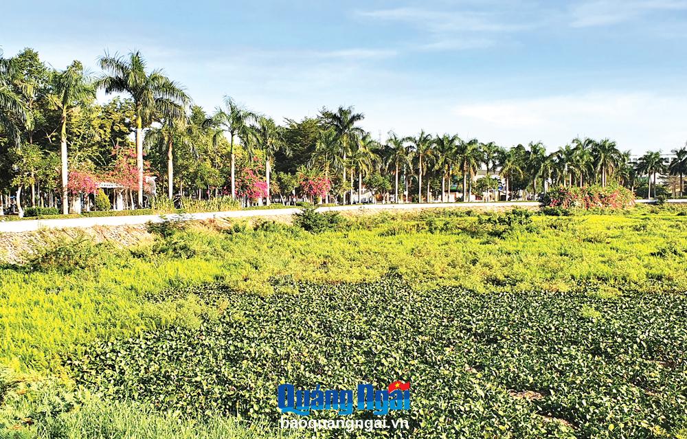 Thành phố Quảng Ngãi đã bố trí kinh phí để nạo vét, xử lý ô nhiễm ở hồ điều hòa Nghĩa Chánh, ở phường Nghĩa Chánh.
