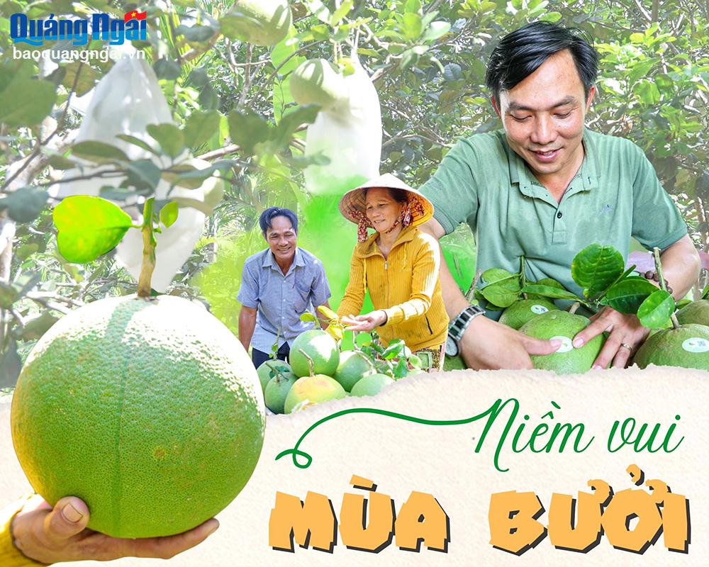 [Photo]. Niềm vui mùa bưởi