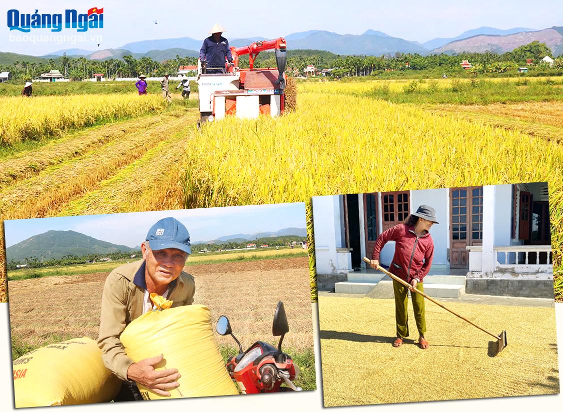  Chủ trương dồn điền đổi thửa và triển khai những cánh đồng mẫu lớn của Đảng ủy, UBND xã Hành Thịnh (Nghĩa Hành) giúp nâng cao đời sống của người dân nơi đây. Ảnh: TR.PHƯƠNG