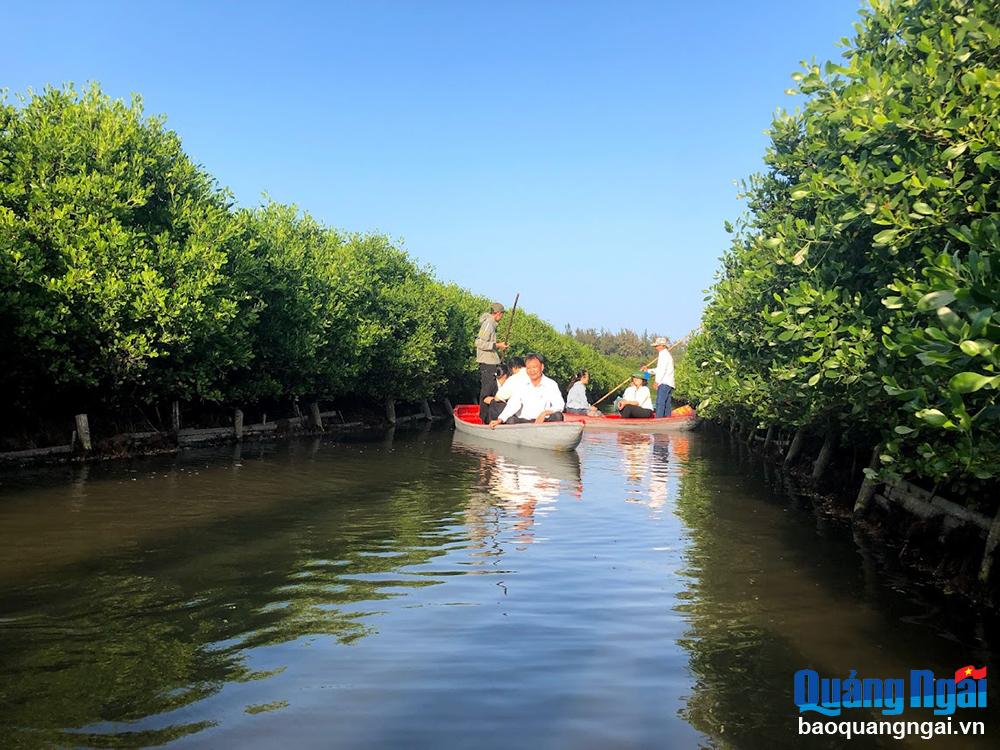 Phát triển rừng ngập mặn bàu Cá Cái thành điểm du lịch cộng đồng, sinh thái là một trong những mục tiêu của xã Bình Thuận (Bình Sơn) trong những năm đến.