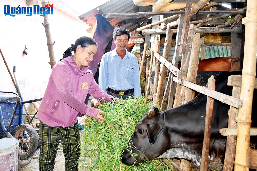 Thành phố Quảng Ngãi: Đa dạng giải pháp giảm nghèo