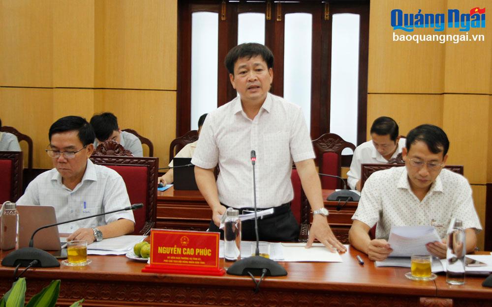 Phó Chủ tịch Thường trực HĐND tỉnh Nguyễn Cao Phúc phát biểu tại buổi làm việc.
