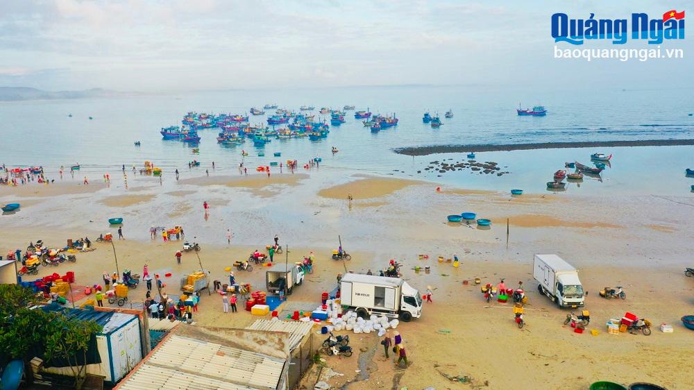 Toàn xã Bình Châu có khoảng 480 tàu cá với khoảng 9.000 người sinh sống bằng nghề biển. Trong số đó có khoảng 200 tàu hành nghề đánh bắt gần bờ.