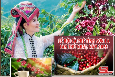 [Emagazine]. Chương trình Lễ hội Cà phê tỉnh Sơn La lần thứ nhất, năm 2023