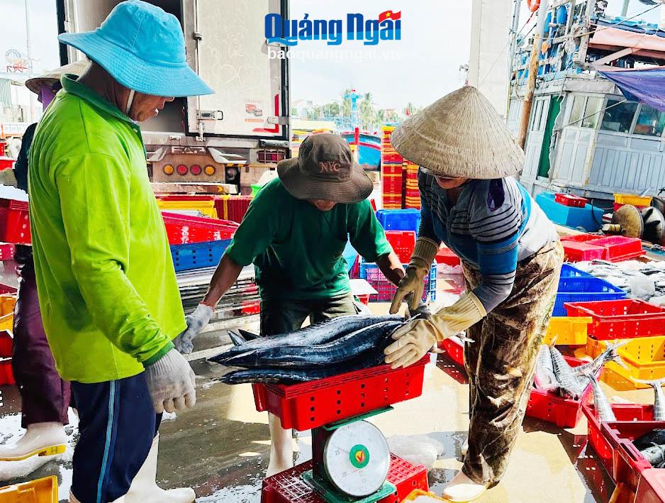 Ngư dân cập cảng neo trú tàu thuyền Tịnh Hòa (TP.Quảng Ngãi) để bán cá. 
Ảnh: M.H
