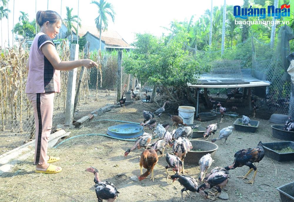 Gia đình chị Đồng Thị Hà, ở thôn 4, xã Nghĩa Dõng (TP.Quảng Ngãi) đã vượt qua khó khăn nhờ vay vốn của ngân hàng chính sách xã hội để phát triển chăn nuôi. 