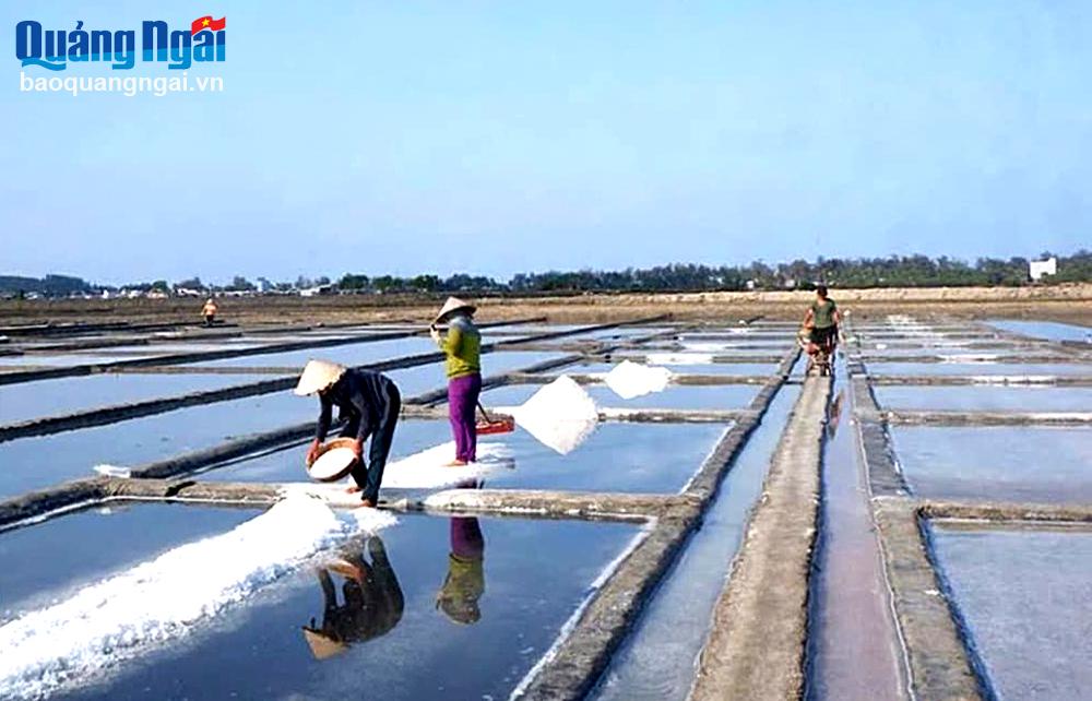 Sản xuất nông sản an toàn