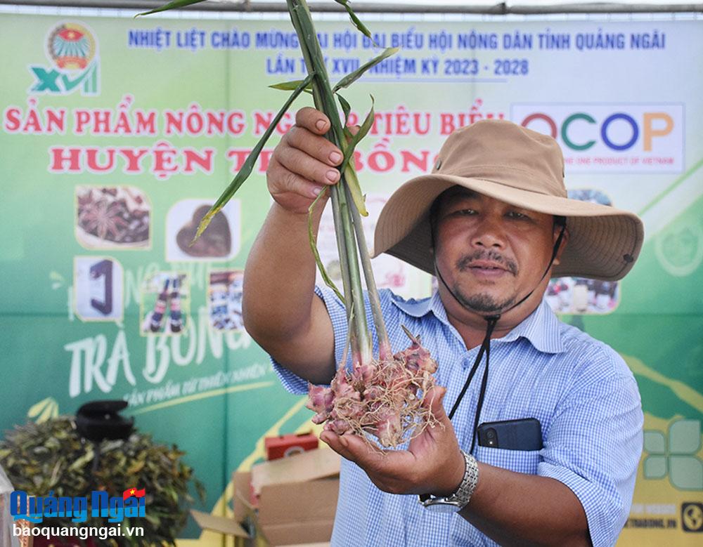 Gừng gió Trà Bồng trở thành sản phẩm OCOP tiêu biểu của tỉnh.
