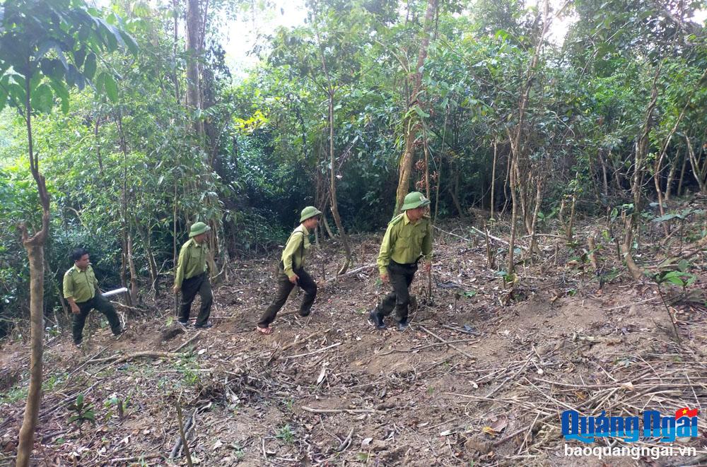 Lực lượng kiểm lâm huyện Sơn Tây tuần tra bảo vệ rừng tại địa bàn xã Sơn Bua.