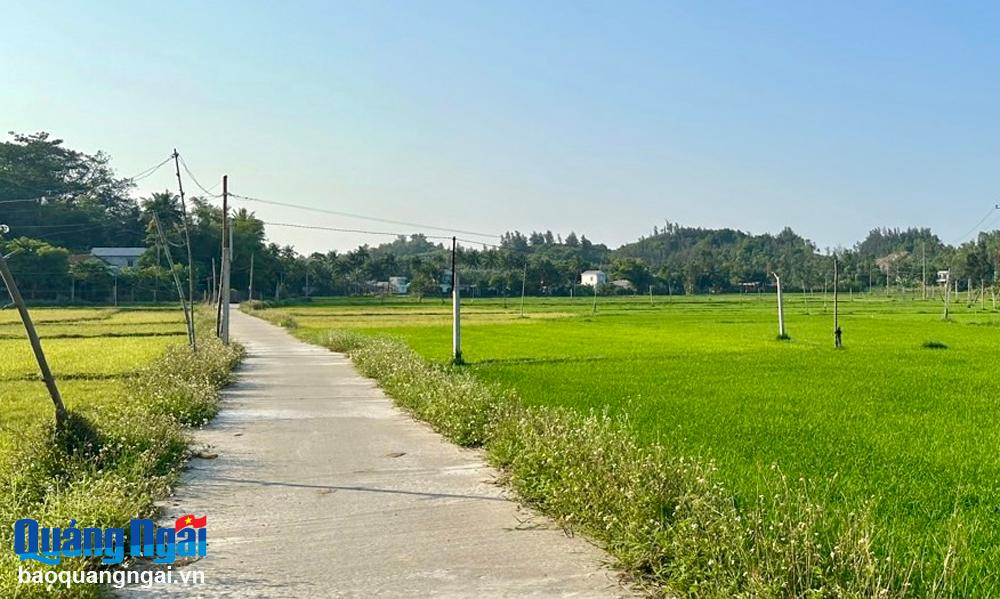 Khu vực nằm trong quy hoạch đường Hoàng Sa - Dốc Sỏi thuộc xã Bình Chánh đã được UBND huyện Bình Sơn ra thông báo thu hồi đất (đợt 1). 