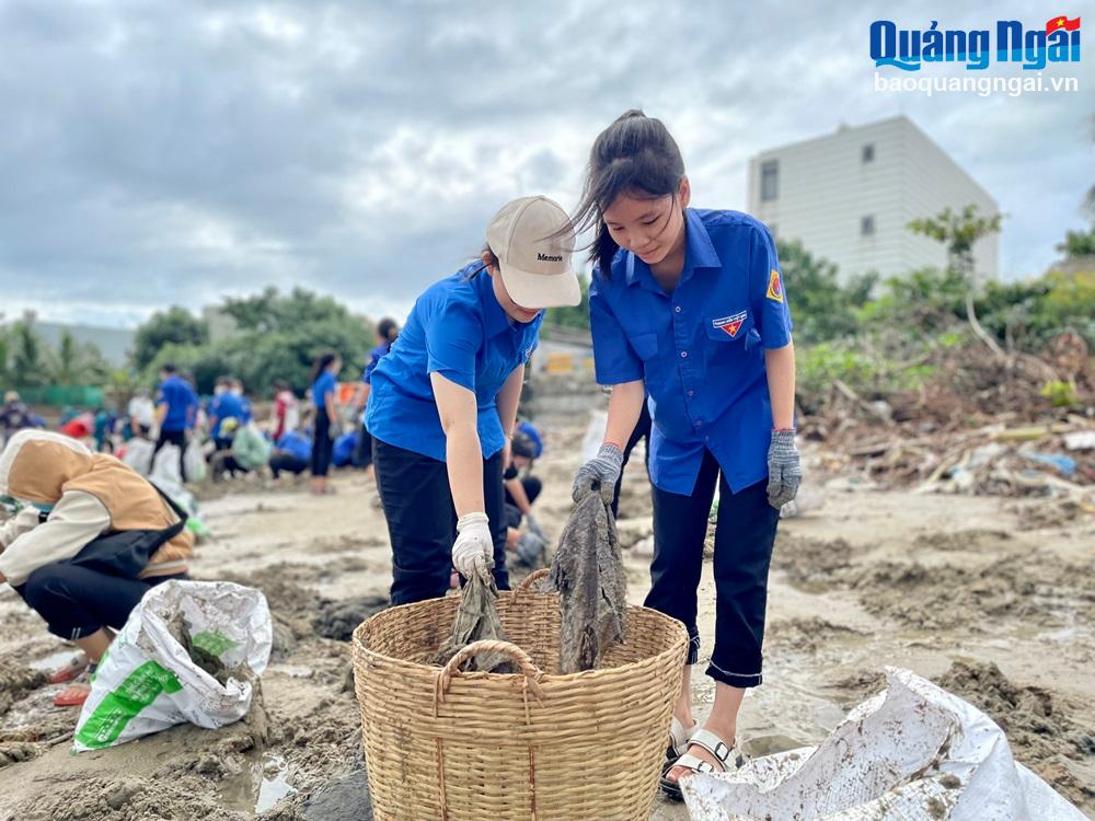 Lực lượng đoàn viên thanh niên rất hăng hái tham gia.