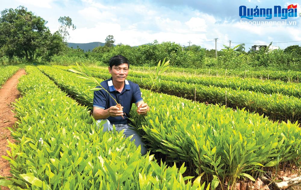 Sáng tạo trong lao động, sản xuất