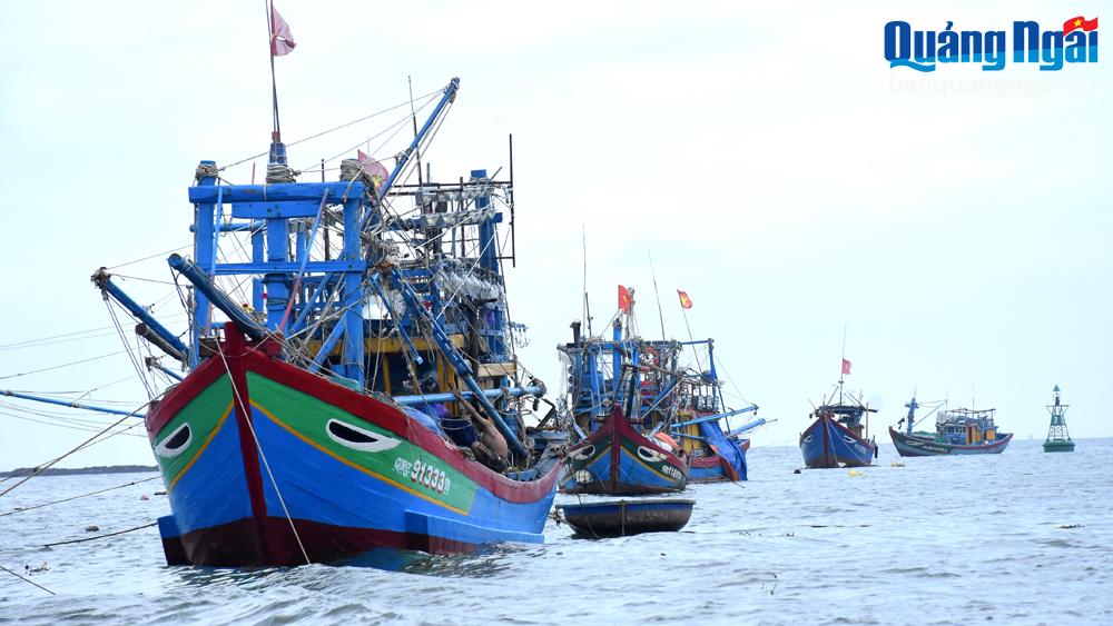 Bộ Nông nghiệp và Phát triển nông thôn chỉ đạo siết chặt quản lý số tàu cá chưa đăng ký, đăng kiểm.