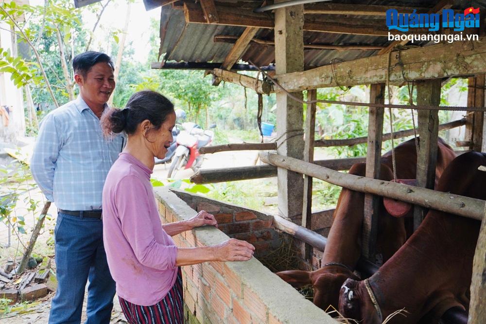 Hộ ông Phạm Bứt, ở thôn 2, xã Nghĩa Sơn (Tịnh Hà), chăm sóc bò giống được hỗ trợ.

