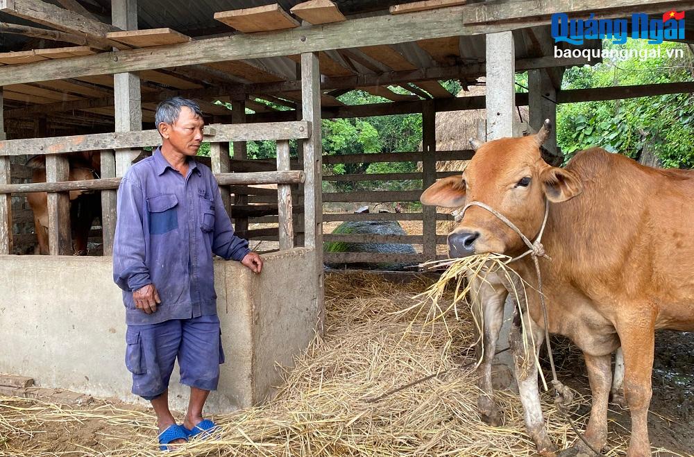 Gia đình anh Tống Văn Hùng, ở thôn Thanh Khiết, xã Nghĩa Hà (TP.Quảng Ngãi) là một trong 5 hộ ở xã Nghĩa Hà vừa mới thoát nghèo.