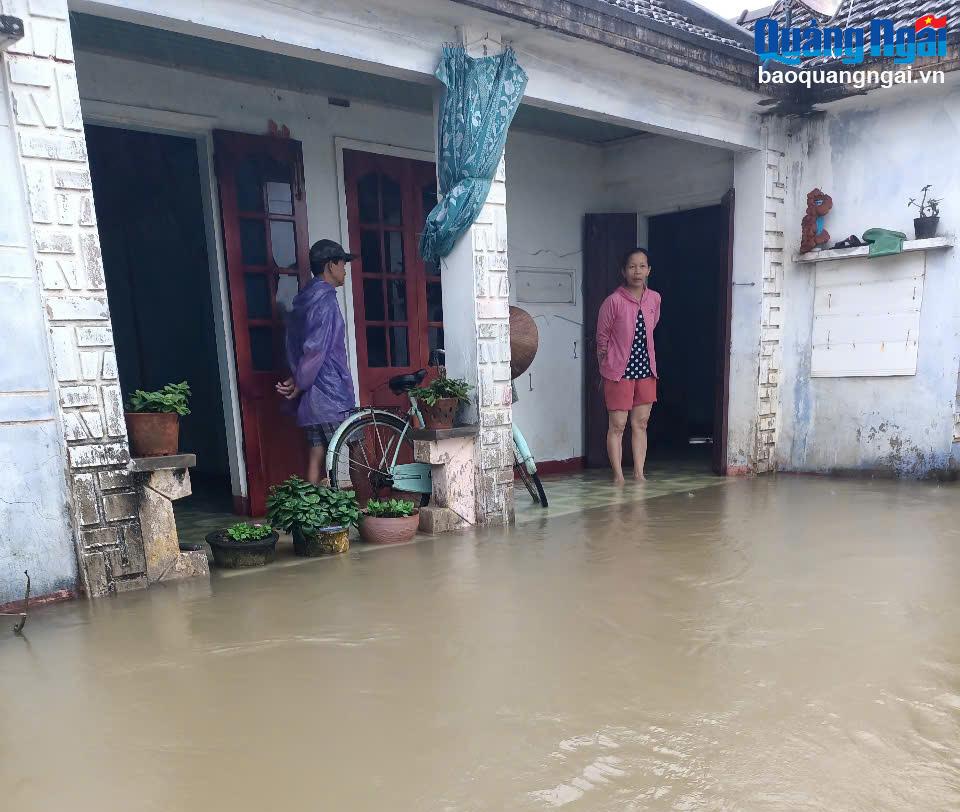 Tin lũ trên sông Trà Câu và sông Vệ  