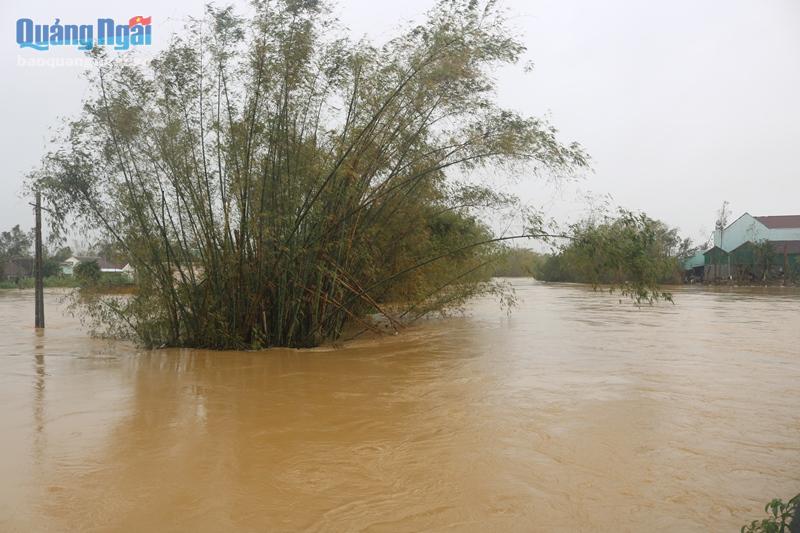 Nước sông Trà Câu  đã vượt mức báo động 3.