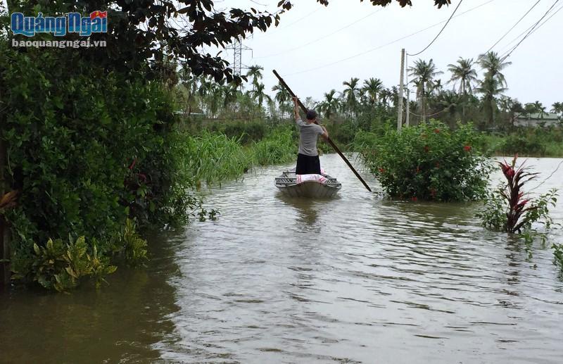 Quảng Ngãi: Mưa lớn, lũ ở các sông trong tỉnh đang lên