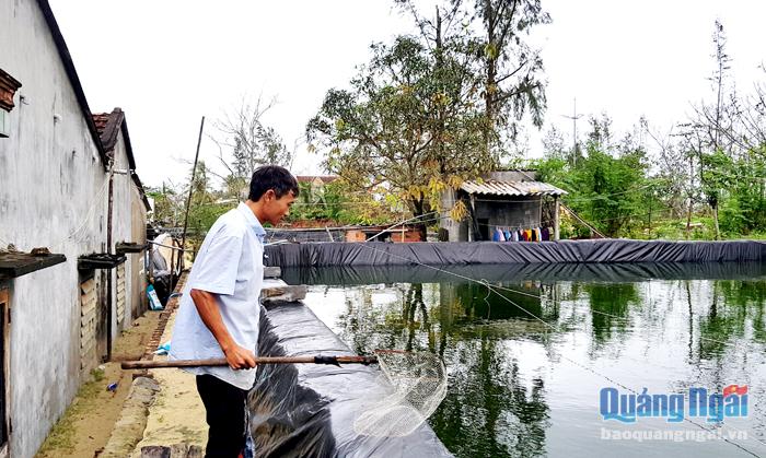 Đào ao nuôi tôm ngay trong vườn nhà và sử dụng 100% nước ngầm để nuôi tôm là mô hình được nhiều hộ dân ở xã Tịnh Khê (TP.Quảng Ngãi) áp dụng từ nhiều năm nay.