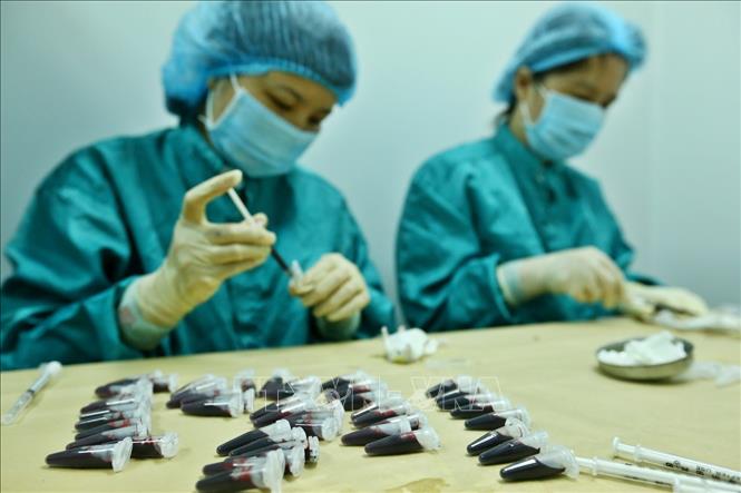 Việt Nam nỗ lực nghiên cứu sản xuất vắc xin phòng COVID-19. Ảnh: TTXVN