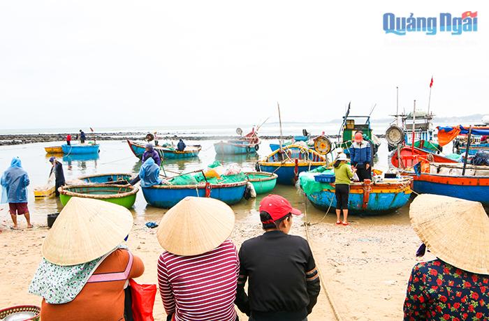 Những người phụ nữ làm nghề rỗi biển có mặt từ sớm để đợi các thuyền, thúng chở các loại hải sản tươi ngon cập bờ. Sau khi chọn mua xong thì họ chở về các chợ để bán. 