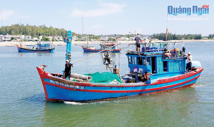 Hoạt động tại các HTX Dịch vụ và khai thác hải sản xa bờ của tỉnh đang gặp nhiều khó khăn, do sản lượng khai thác lẫn giá hải sản năm 2020 đều tụt giảm. 