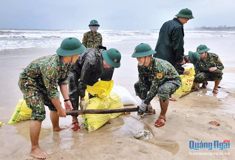 Bộ đội Biên phòng tỉnh giúp dân chống sạt lở bờ biển ở thôn Phước Thiện, xã Bình Hải (Bình Sơn).