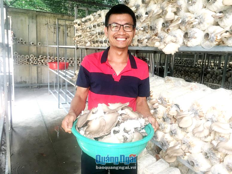 Anh Nguyễn Anh Võ thu hoạch nấm tại trang trại Nấm Xanh.
