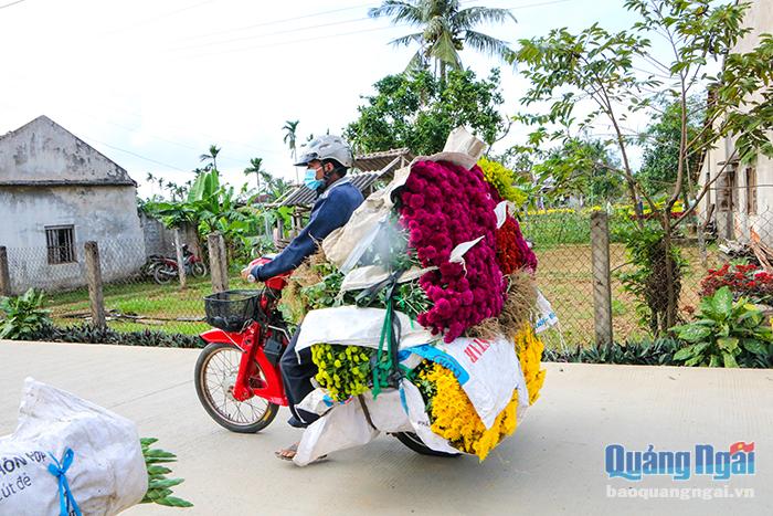 Các tuyến đường lớn nhỏ trong xã cũng không thiếu bóng những chiếc xe chất đầy hoa, những chiếc xe chở hoa “làng” lên phố.