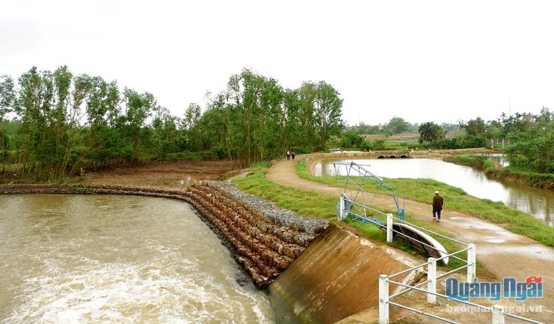 Nguồn nước dòng sông đào Bầu Giang phục vụ tưới tiêu cho hàng trăm hécta ruộng đồng trên địa bàn huyện Tư Nghĩa.  ẢNH: LÝ SƯƠNG