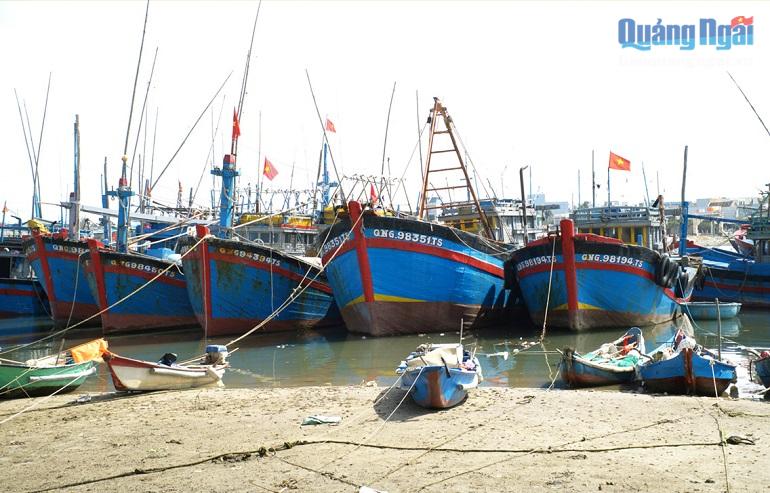 Luồng ra vào cảng bị bồi lấp, nhiều tàu thuyền chưa thể rời cảng Sa Huỳnh