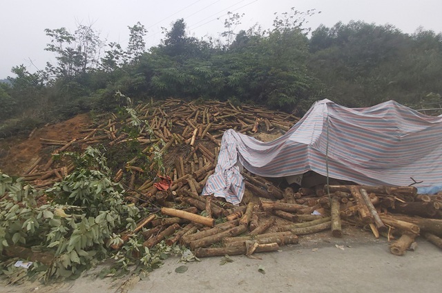Hiện trường vụ tai nạn giao thông tại Km 13 + 570, dốc Bả Vai, tỉnh lộ 530, thuộc địa phận bản Hắc, xã Trí Nang, huyện Lang Chánh, tỉnh Thanh Hóa.