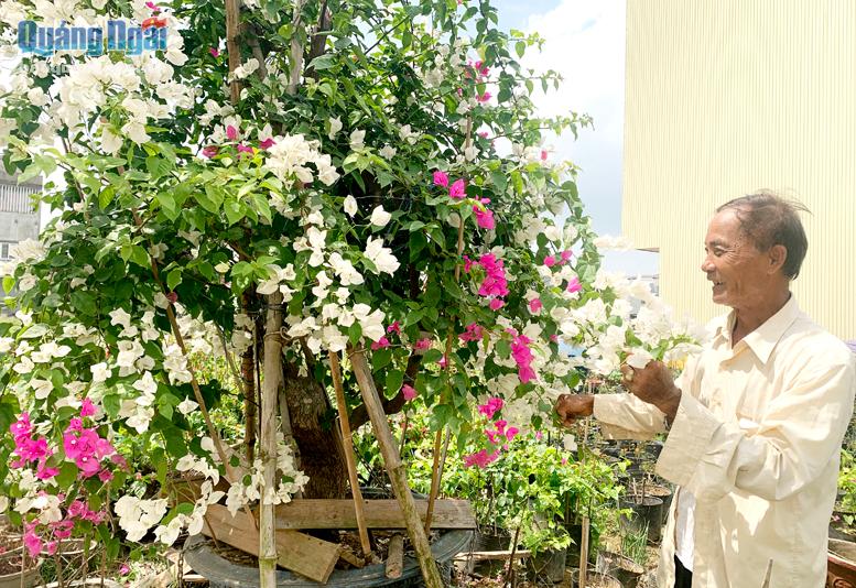 Ông Nguyễn Minh Đại bên cây hoa giấy rực rỡ sắc màu. Ảnh: Tr.An