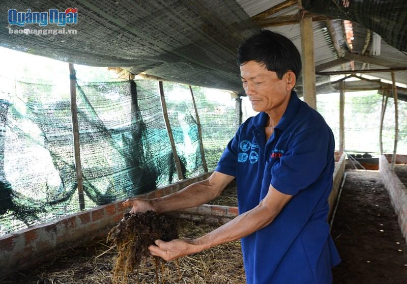 Ngộ ra chân lý làm nông nghiệp hữu cơ của Kimura, ông Chánh đầu tư nuôi trùn quế.