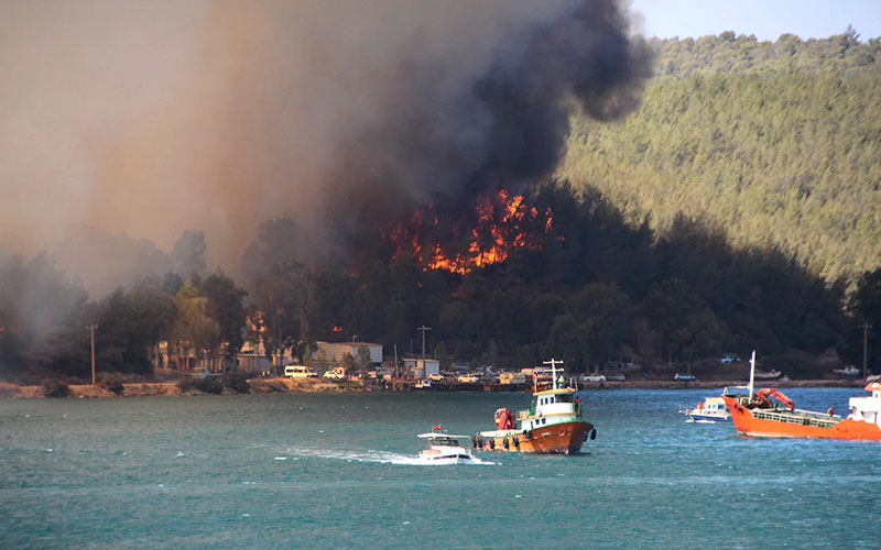  Cháy rừng lan tới thị trấn ven biển ở Bodrum, Thổ Nhĩ Kỳ. Ảnh AP