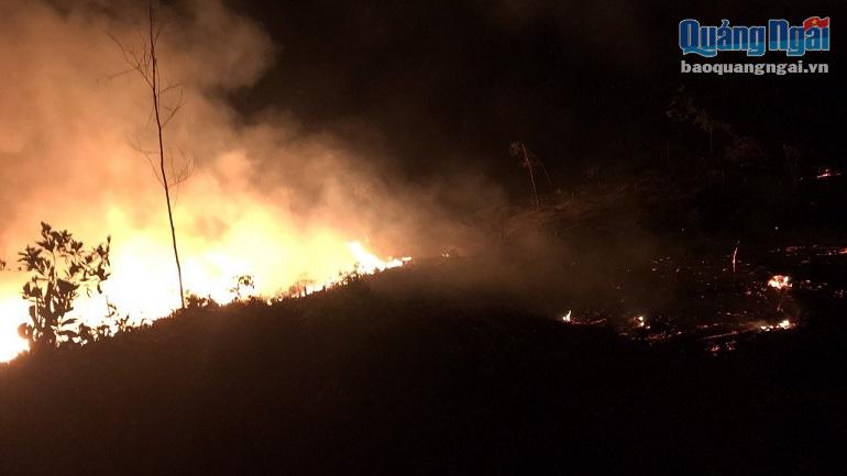 Đám cháy từ rừng sản xuất tại điểm giáp ranh xã Phổ Cường và xã Phổ Hòa đêm ngày 6/8.  Ảnh: VVT