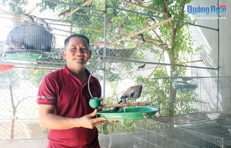 Mô hình nuôi chim cu gáy cảnh của anh Nguyễn Tấn Khả, ở thôn Đông Bình, xã Bình Chánh (Bình Sơn). 