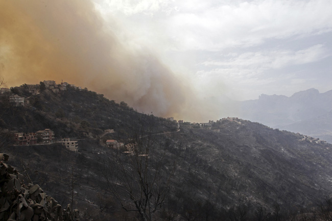 Cháy rừng bùng phát ở Algeria gây hậu quả nghiêm trọng. (Ảnh: AP)
