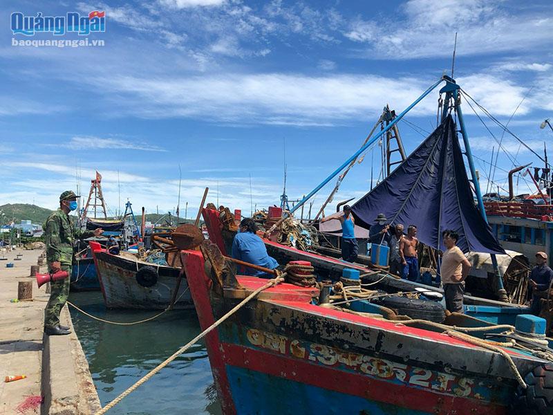 Sớm có hướng quản lý 339 ngư dân cập cảng Sa Huỳnh