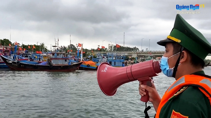 Video: Kêu gọi và sắp xếp tàu thuyền vào bờ tránh trú bão số 5