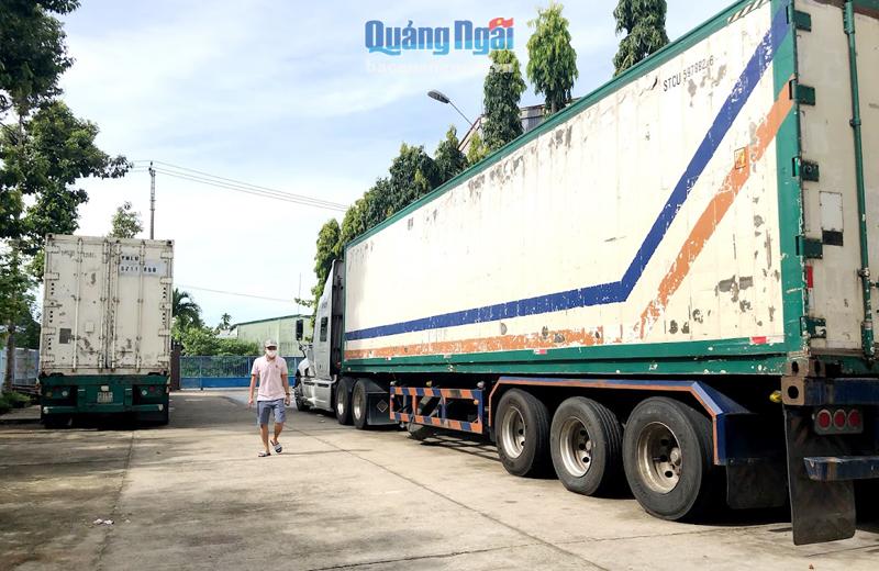 Khoảng 40 tấn hải sản của Công ty TNH MTV Hoàng Rin, ở KCN Quảng Phú (TP.Quảng Ngãi) còn trong xe, chưa được bốc dỡ để nhập kho chuyên dụng.         Ảnh: M.HOA