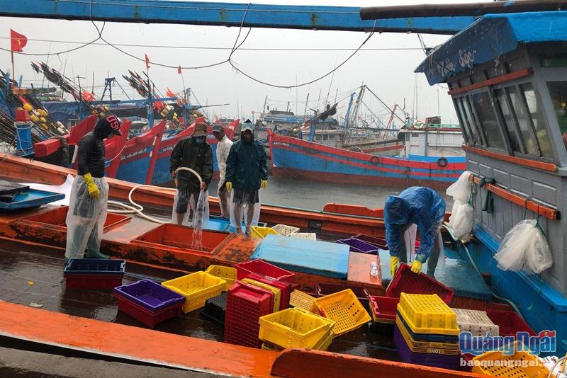 Tàu vào bờ tránh trú bão và tranh thủ bán hải sản