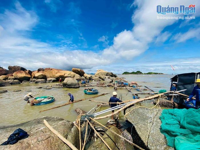 Chính quyền địa phương và người dân trong thôn hỗ trợ người nuôi cá vớt vát những vật dụng còn trôi nổi ở bờ biển.