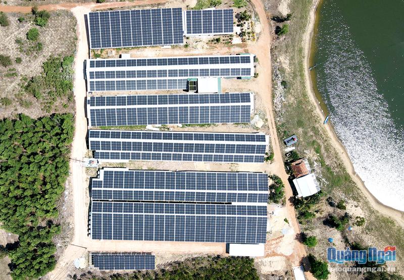 Hệ thống điện năng lượng mặt trời do anh Trần Sơn Nhật, ở xã Đức Minh (Mộ Đức) xây dựng để phục vụ nuôi tôm.              Ảnh: PV