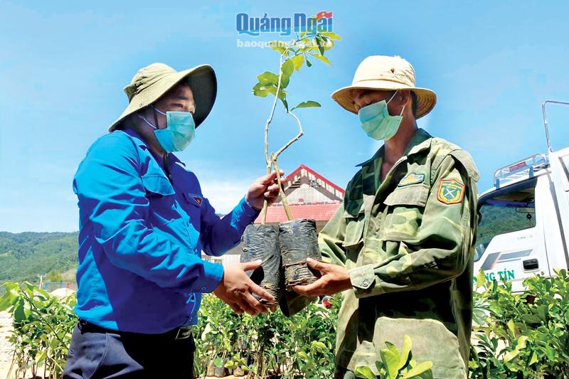 Phó Bí thư Tỉnh đoàn, Chủ tịch Hội LHTN Việt Nam tỉnh Lê Văn Vin trao cây giống hỗ trợ thanh niên ở Làng Thanh niên lập nghiệp Sơn Bua (Sơn Tây).   