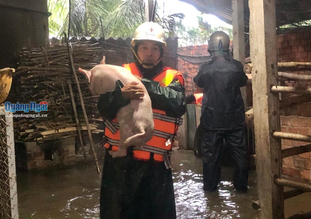 Lực lượng chức năng hỗ trợ di dời đồ đạc, vật nuôi của các hộ dân bị ngập lụt đến nơi cao ráo hơn