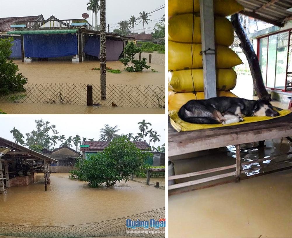 Nước sông Trà Câu vượt mức báo động 3, nhiều nhà dân bị ngập sâu