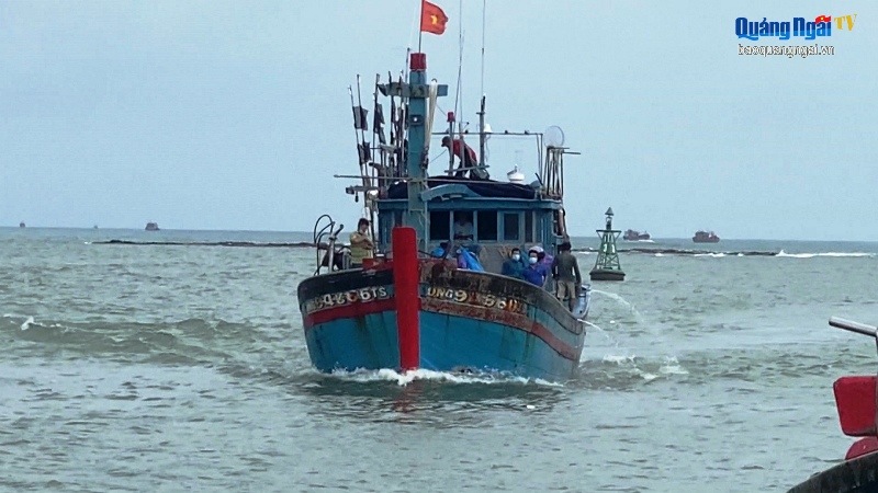Video: Ngư dân hối hả đưa tàu vào bờ tránh trú bão số 9