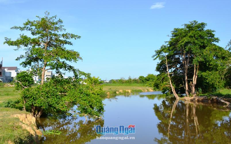 Sông Bàu Giang đoạn chảy qua địa phận phường Nghĩa Lộ (TP.Quảng Ngãi).   Ảnh: Ý THU 